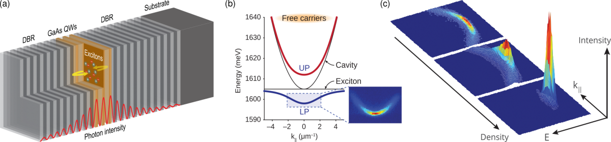 Overview of the excitonics subgroup